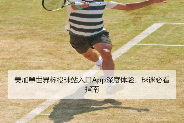 美加墨世界杯投球站入口App深度体验，球迷必看指南